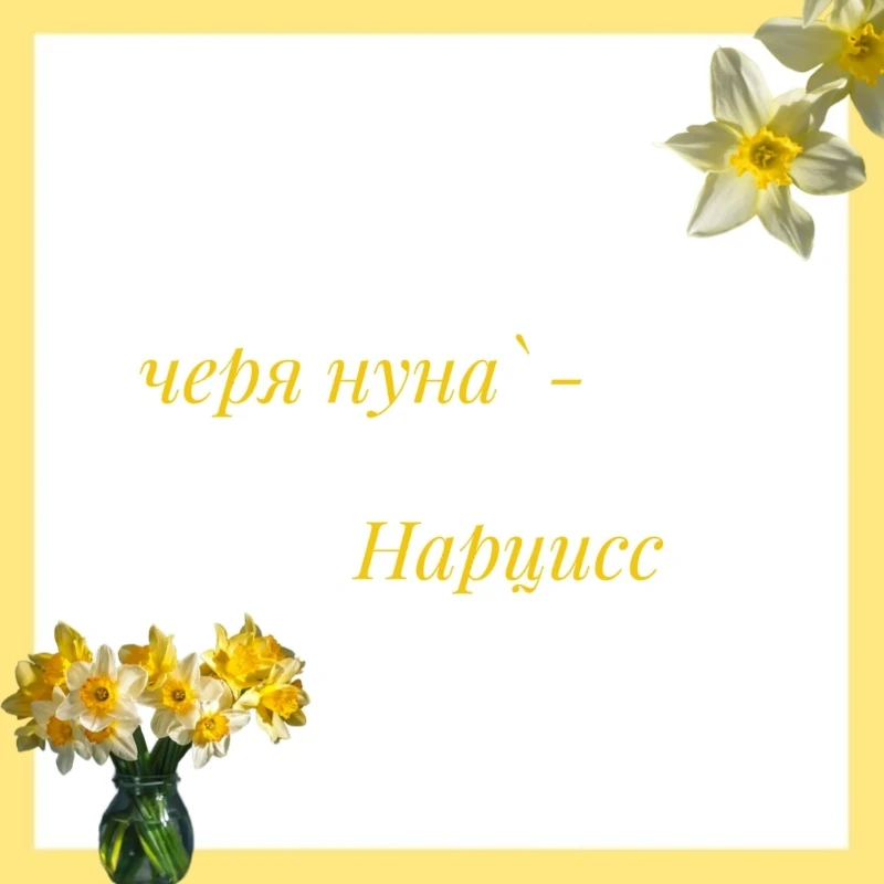 ♡︎ черя нуна`♡︎ ♡︎ черя нуна`♡︎