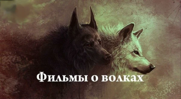 Волки не только главные герои в этой подборке. Здесь мультфильмы и мультсериалы, сериалы и фильмы. Несколько постеров не очень хорошего качества, так как других нет. Сорри