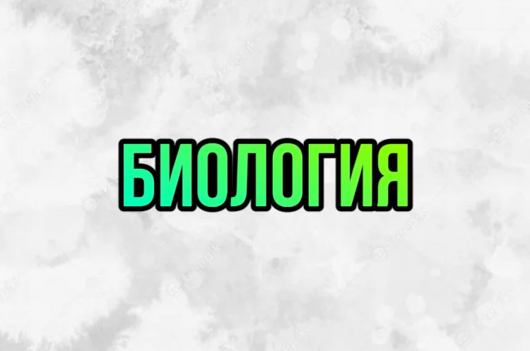 11.06.2024 11.06.2024