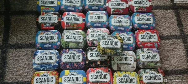 .........