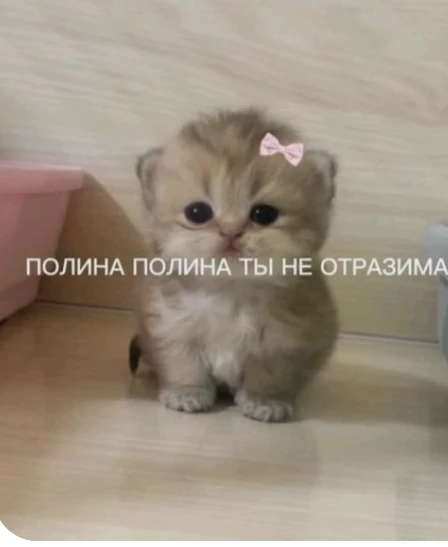 Это правда Это правда