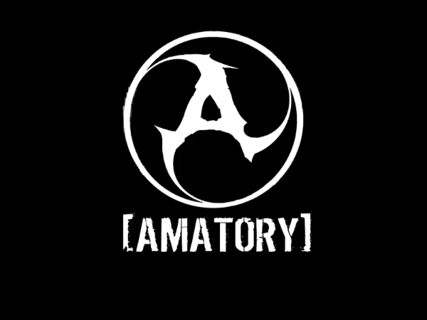 Предлагаю пройти тест на лучший трек группы AMATORY.
