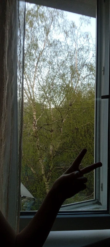 Ну а на фоне уже цветут деревья Ну а на фоне уже цветут деревья
