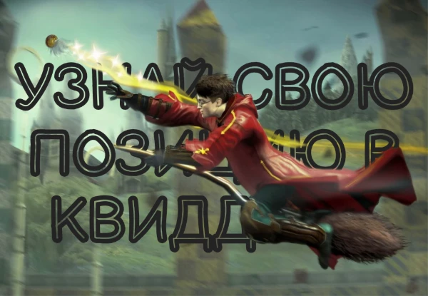 Квиддич - спортивная игра известная в волшебном мире. Две команды стараются забить в кольца другой команде, летая на метлах. Игра заканчивается поимкой Снитча. Узнай какая позиция подходит тебе!