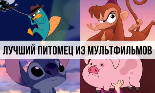Привет, в мультфильмах часто у главного героя есть домашний питомец, иногда они играют важнейшую роль в сюжете. Сегодня выберем лучшего.