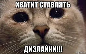 Вы же не поставите котику дизлайк.. Вы же не поставите котику дизлайк.. 