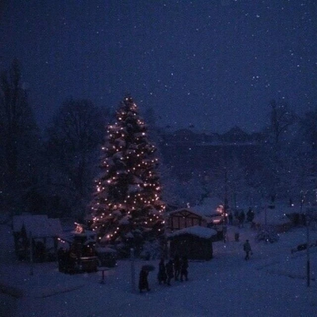 С первым днём зимы ❄️ С первым днём зимы ❄️