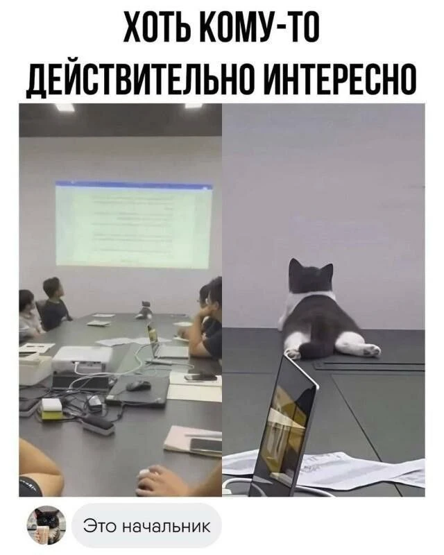 Без милоты нельзя :3 Без милоты нельзя :3