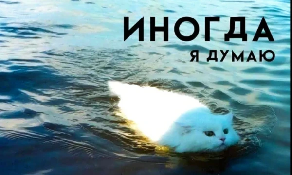 Подборка экзистенциальных картиночек с цитатой, её определяющей (ну или почти определяющей). Тяжелые размышления о будущем, смысле жизни и своем месте в мире.