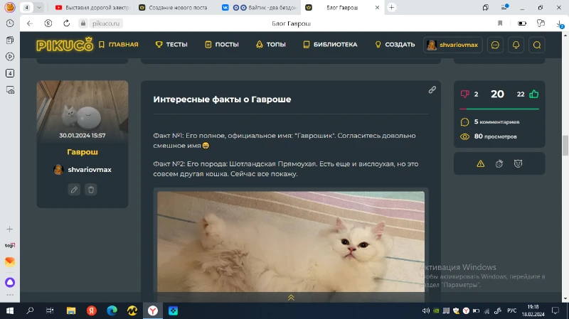 Вайтик -два бездонных океана глаз🥰 Вайтик -два бездонных океана глаз🥰