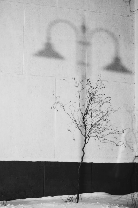 2016, январь. Одна из поздних фотографий, принятых в паблике. Она скорее говорит о том, как важно смотреть по сторонам — возможно, ты находишься в нужном месте в нужное время. Например, там, где дерево якобы отбрасывает тень виде фонаря. 2016, январь. Одна из поздних фотографий, принятых в паблике. Она скорее говорит о том, как важно смотреть по сторонам — возможно, ты находишься в нужном месте в нужное время. Например, там, где дерево якобы отбрасывает тень виде фонаря. 