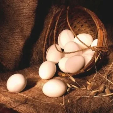 Так исторически повелось, куриное яйцо, на протяжении веков являлось одним из самых доступных населению продуктов.Но вот уж готовил его всяк по-своему.Итак, записывайте рецепт
