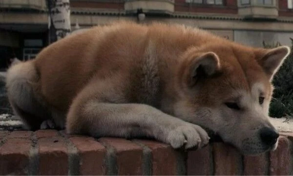 Этот фильм просто невозможно смотреть без слёз... Но как Вы хорошо его знаете? Может Вы смотрели его один раз? Или несколько? В этом тесте я предлагаю Вам проверить свои знания на счёт этого фильма.