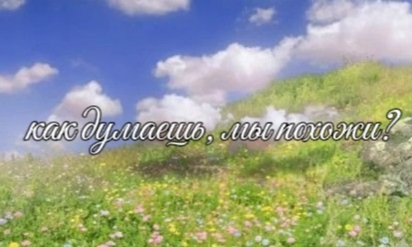 привет, это мой первый тест и тут ты узнаешь насколько процентов мы похожи <3, удачи🙈 
в будущем я исправлю все возможные ошибки, извините если что-то недоработано)