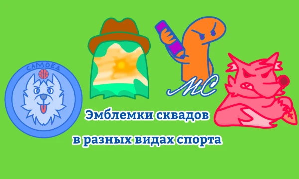 В течение этих двух лет я рисовала эмблемы для сквадов. Было 4 вида спорта: баскетбол, регби, хоккей и американский футбол. В тесте не все рисунки за всё время.