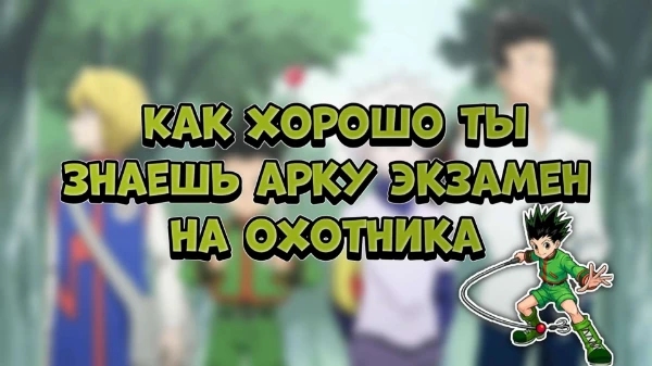 Всем привет! Решил сделать наконец-то тест на знания по аниме Охотник х Охотник/Hunter x Hunter, но не всех серий, а только на арку Экзамен на охотника. Удачи пройти тест!