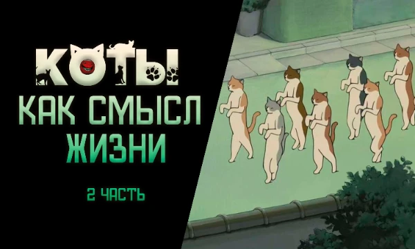 Вторая подборка разнообразных мемов с котиками в главных ролях. Выберите, какой же больше всего вам подходит