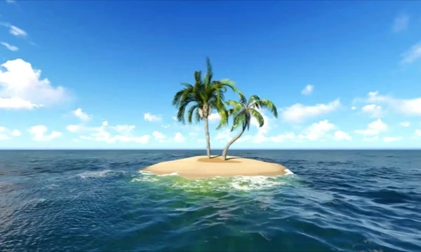 Во время путешествия на пароходе он утонул и все погибли. Но не ты! Тебе предстоит выжить и выбраться из этого острова!