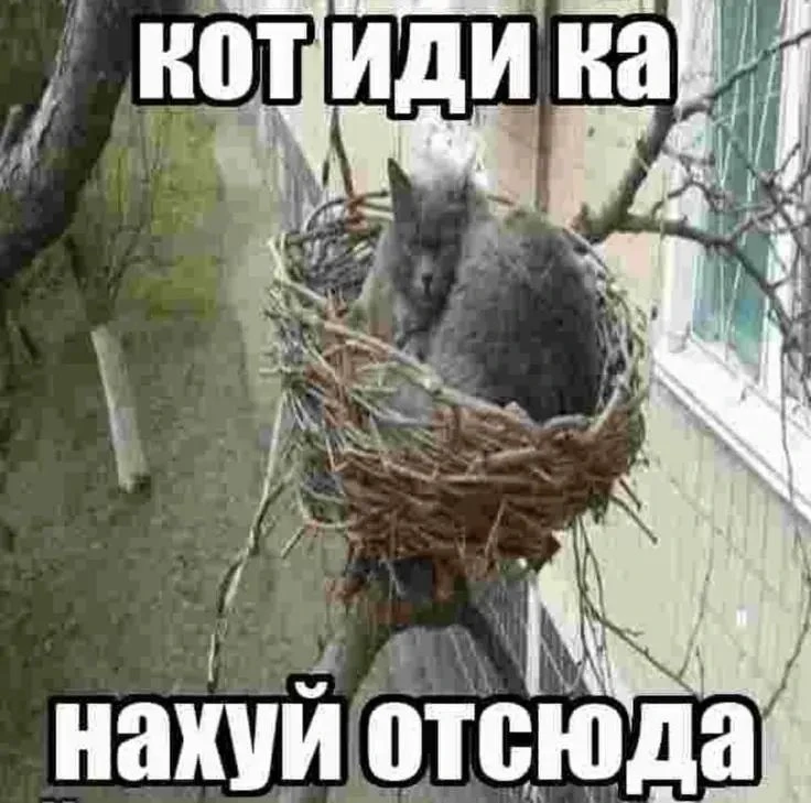 Просрация. Сунь-Высунь – Искусство щитпостинга Просрация. Сунь-Высунь – Искусство щитпостинга