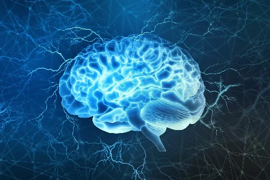Наша команда подготовила уникальный тест на iQ, который поможет выявить уровень вашей эрудиции.