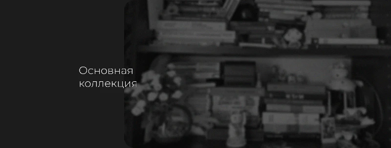 Моя книжная полка: основная коллекция Моя книжная полка: основная коллекция