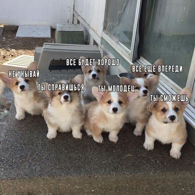 пост для поддержки💘 пост для поддержки💘