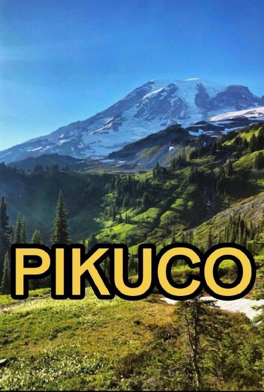 Pikuco исполнилось 3 года Pikuco исполнилось 3 года