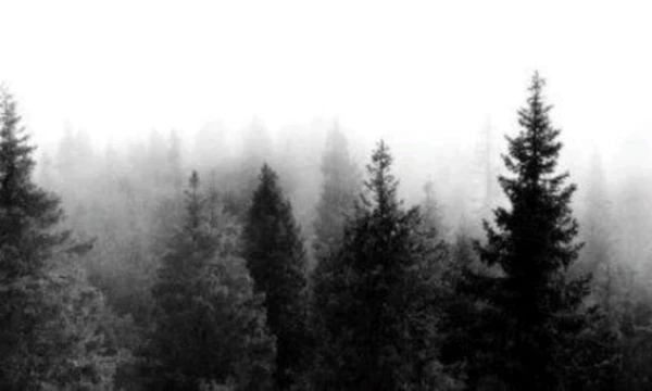 интерактивный хоррор квест, о поезде к бабушке с дедушкой, но все ли так просто?
окунитесь в атмосферу и посмотрите на разные концовки, желаю удачи✨